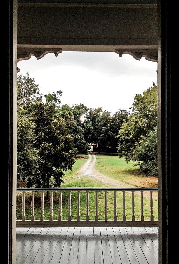 Bed and Breakfast Belmont Plantation, Est 1857 Гринвилл Экстерьер фото